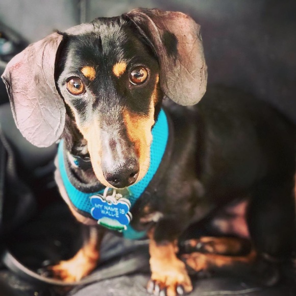 NOT FOR SALE - Picture 3 of 3